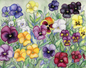 Pansy pansies watercolor painting flower art