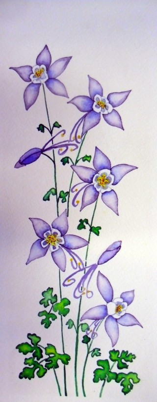 Original watercolor painting Columbine flower Fraser, Colorado art 420 love