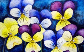 Viola flower painting Johnny Jump Ups watercolor art