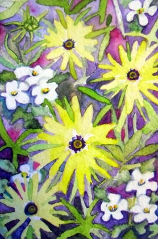 Osteopernum Bacopa flowers floral watercolor Elizabeth Kurtak Fraser, Colorado Winter Park Art