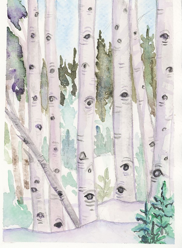 Aspen trees Colorado winter watercolor art fraser