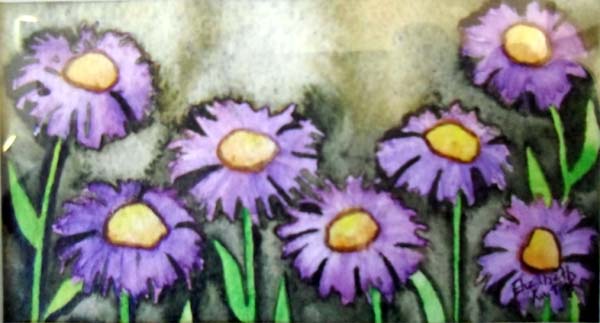 Asters Colorado wildflowers botanical study watercolor painting purple asters thanks for looking flowers