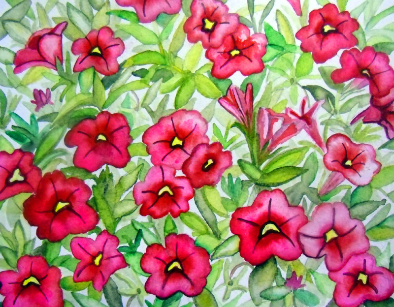 red, Calibrachoa , flower, watercolor painting