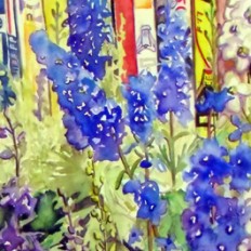 Ski Fence with Delphinium and Outhouse $40+_